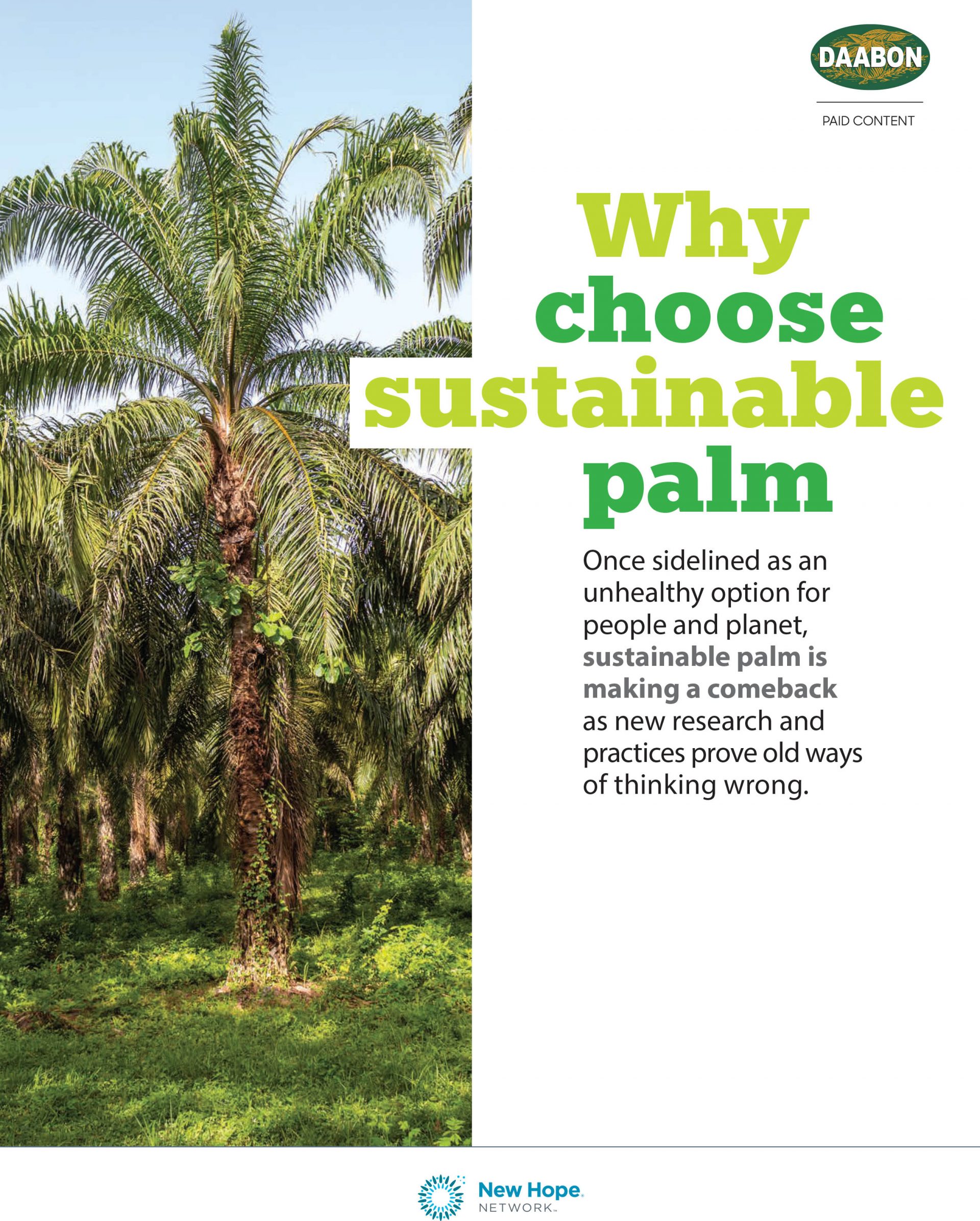 Why Choose Sustainable Palm Oil