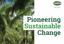 Pioneering Sustainable Change Pioneering Sustainable Change at Daabon Palm Today