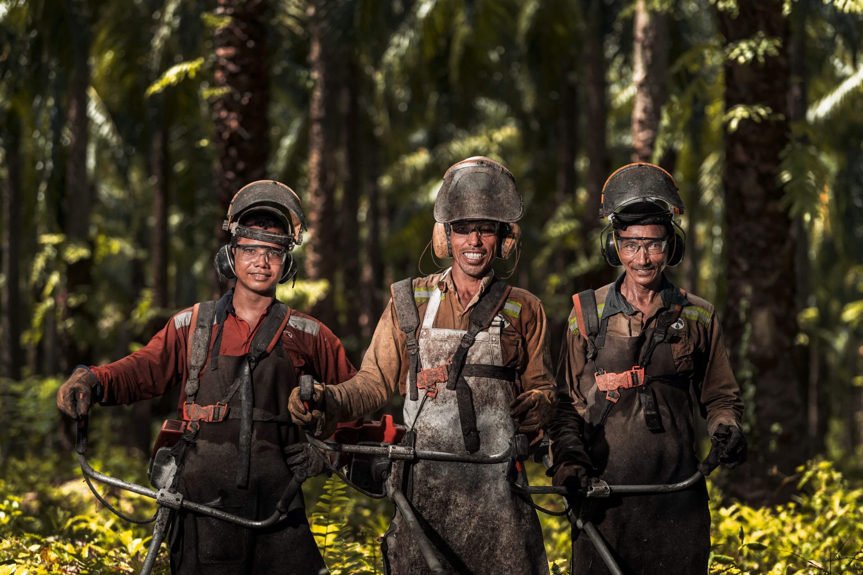 Three smiling, well-equipped Daabon farm workers in a lush, healthy palm oil plantation, representing the ethical sourcing required for sustainable Halloween candy.
