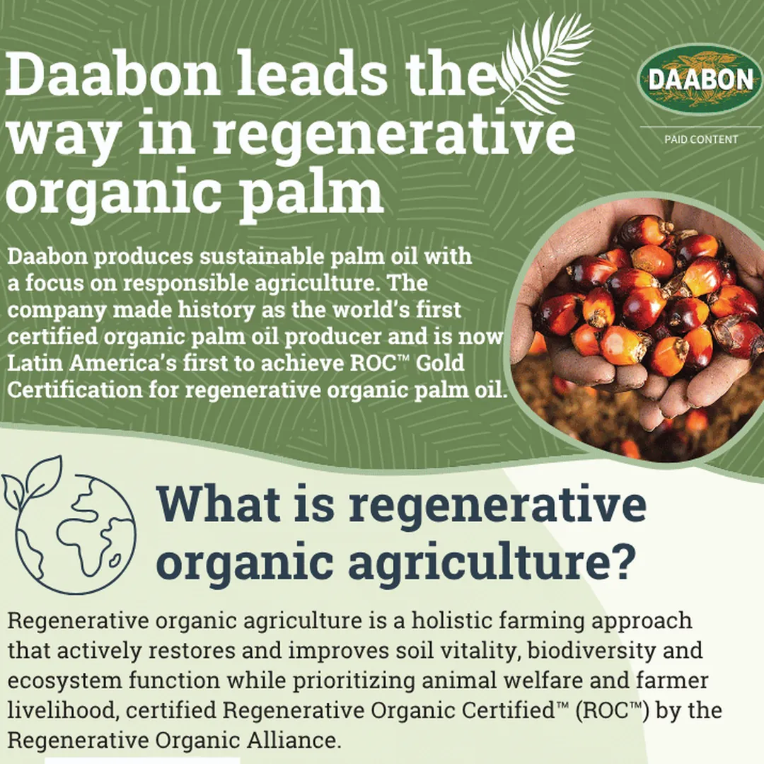 Daabon leads the way in regenerative organic palm: header of the infographic with a handful of palm fruit